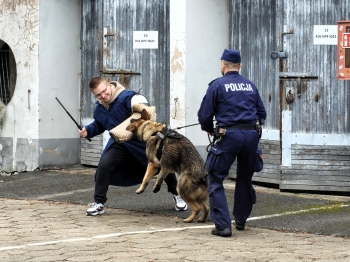 641252271_122302887092252428_7113779673050196358_n